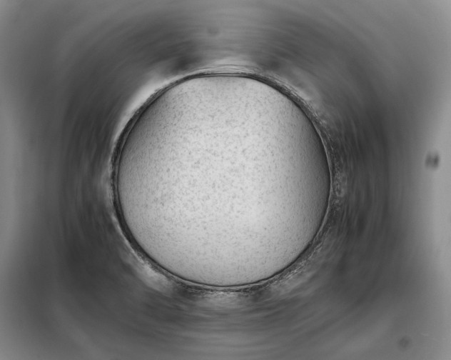 X0000098221470200805011223