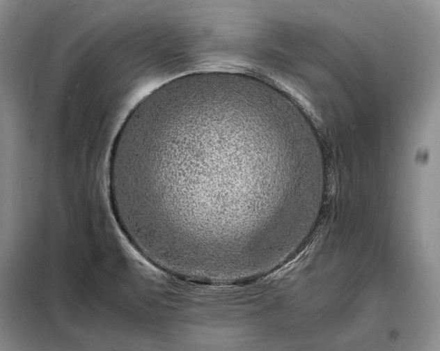 X0000098221471200805011223