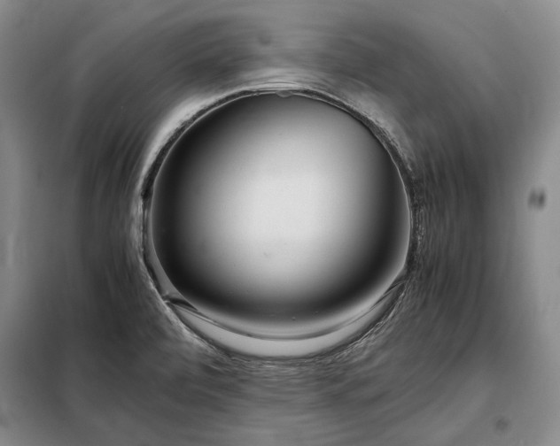 X0000098221472200805011223