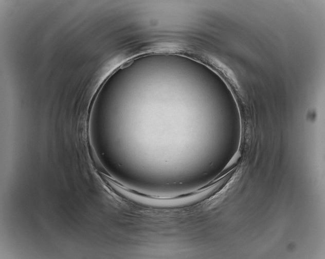 X0000098221473200805011223