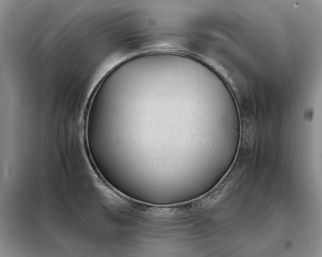 X0000098221474200805011222