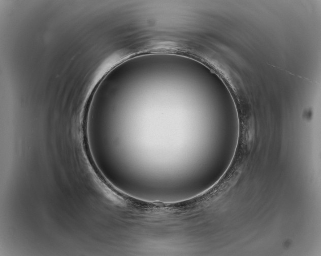 X0000098221475200805011222