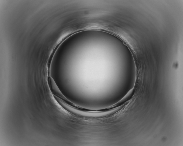 X0000098221476200805011222