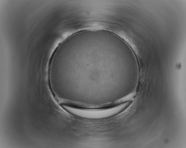 X0000098221477200805011222