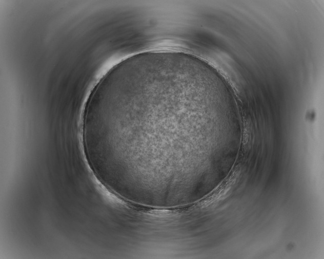 X0000098221478200805011222