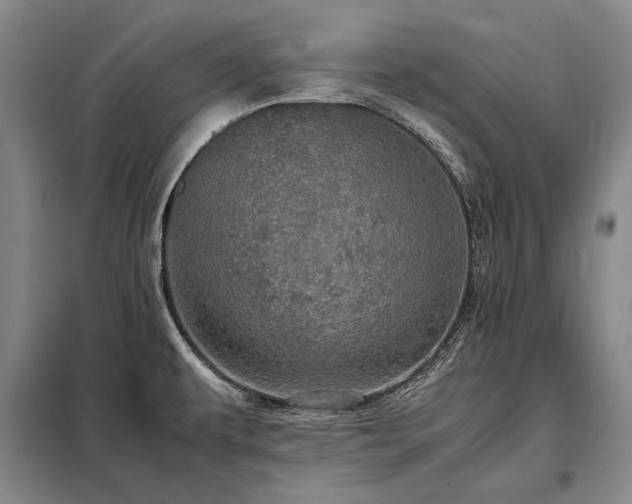 X0000098221479200805011222