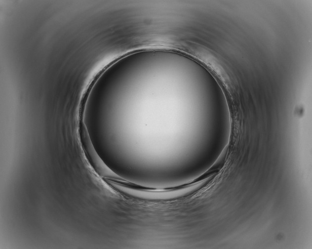 X0000098221480200805011222