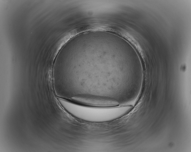 X0000098221481200805011222