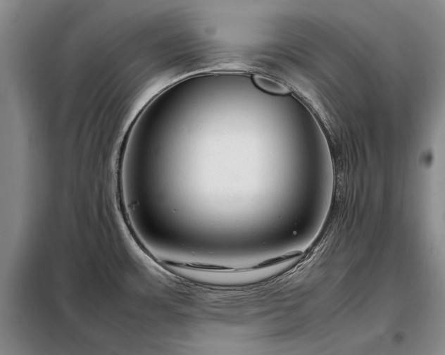 X0000098221483200805011222