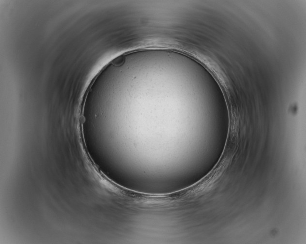 X0000098221486200805011222