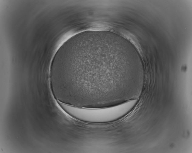 X0000098221487200805011222