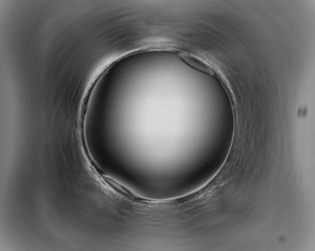 X0000098221488200805011222