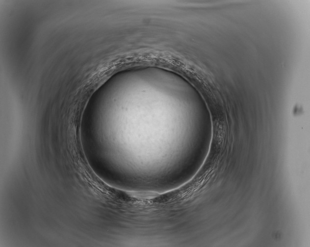 X0000098221489200805011221