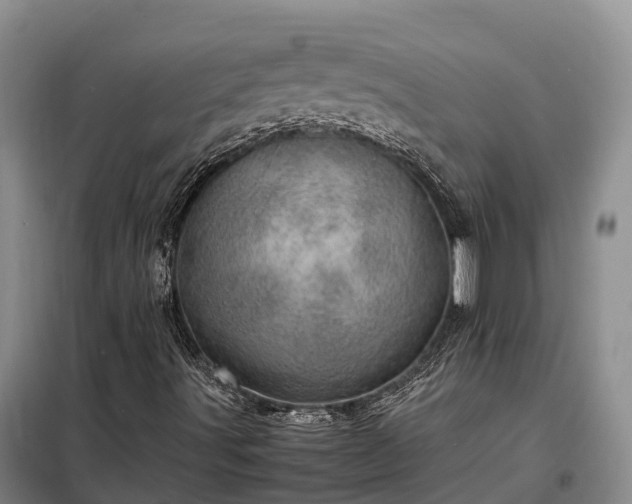X0000098221491200805011221