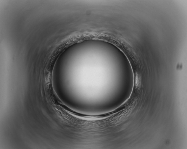 X0000098221492200805011222