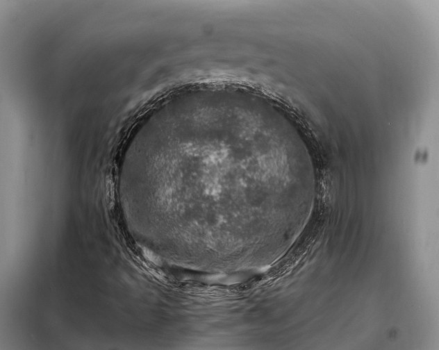 X0000098221493200805011222