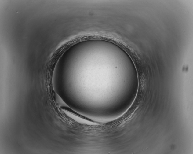 X0000098221494200805011222
