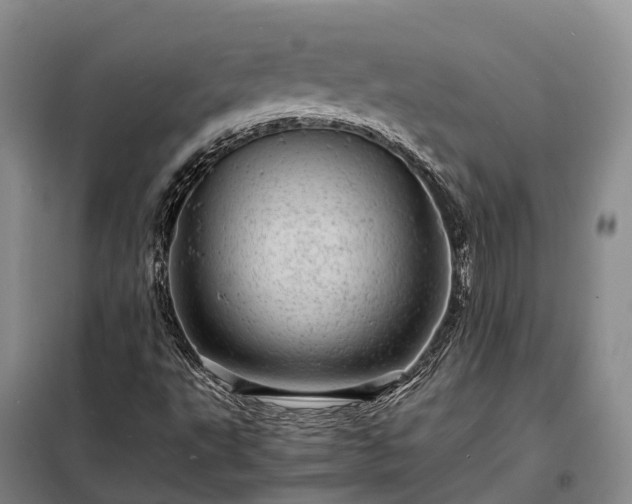 X0000098221495200805011222