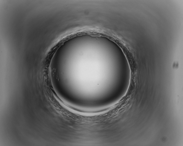 X0000098221496200805011222