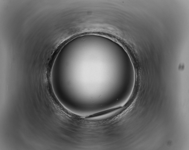X0000098221497200805011222