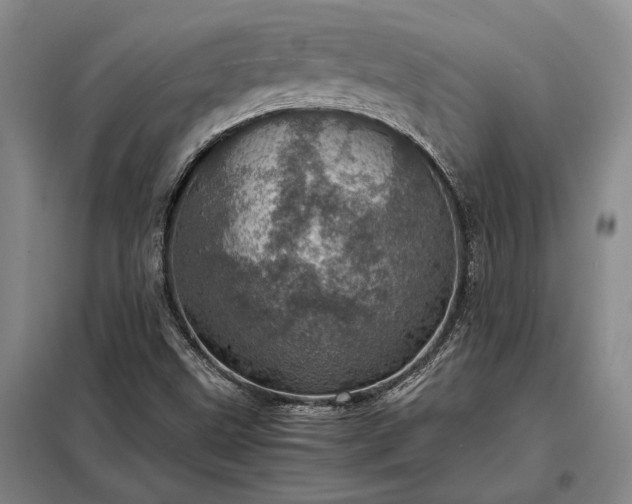 X0000098221499200805011222