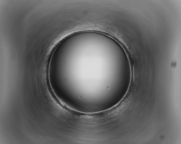 X0000098221500200805011222