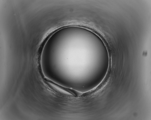 X0000098221501200805011222