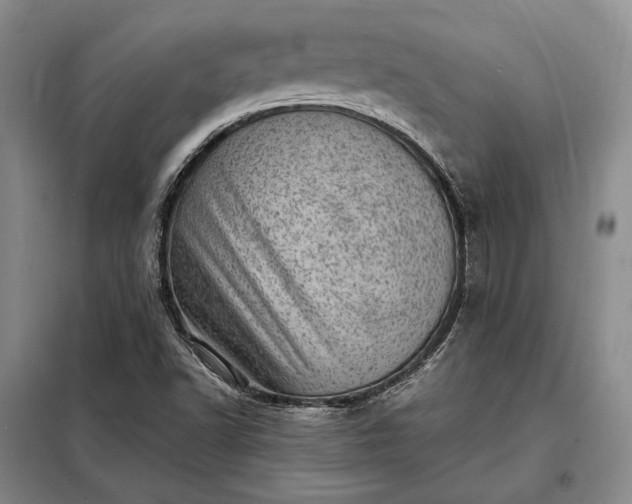 X0000098221502200805011222