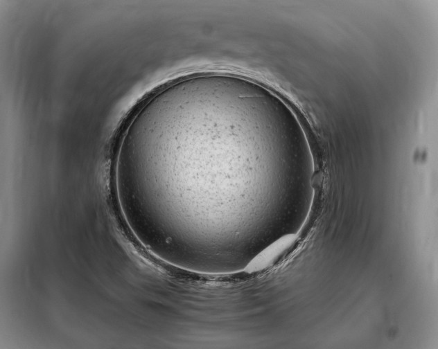 X0000098221503200805011222