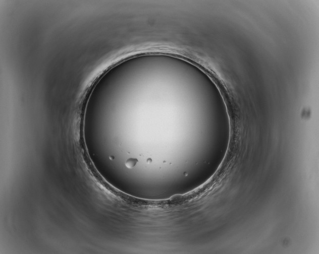 X0000098221504200805011222