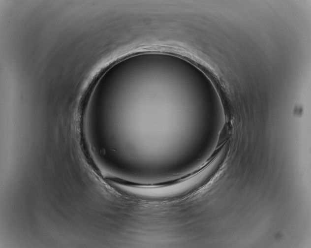 X0000098221506200805011222