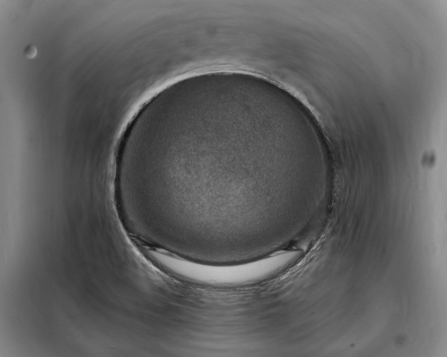 X0000098221508200805011222