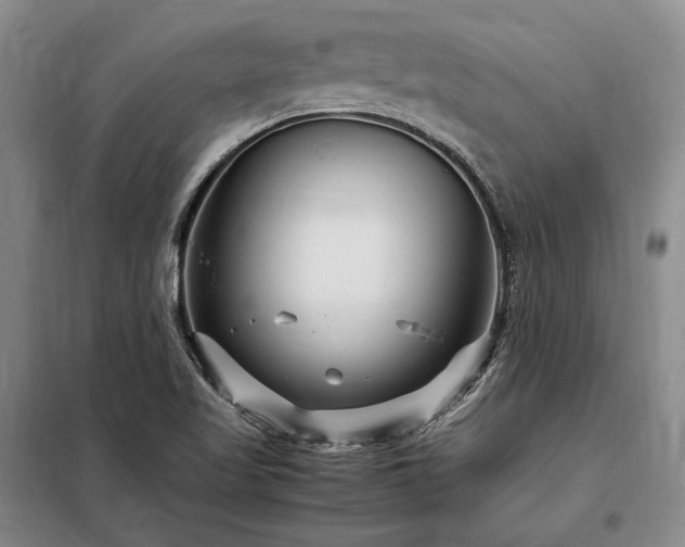 X0000098221509200805011222