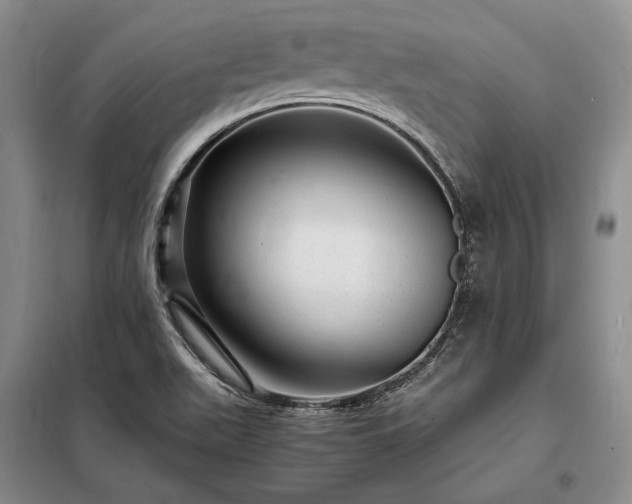 X0000098221511200805011222