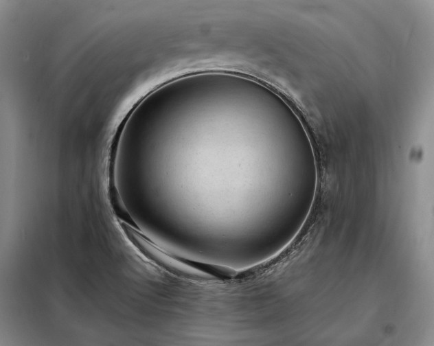 X0000098221512200805011222