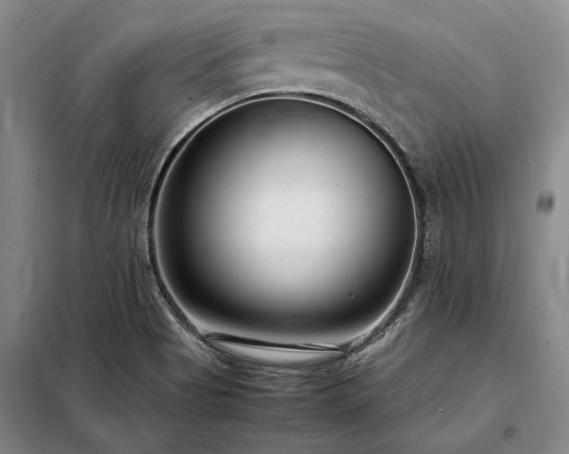 X0000098221513200805011222
