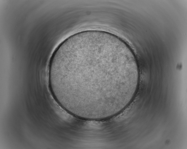 X0000098221514200805011222