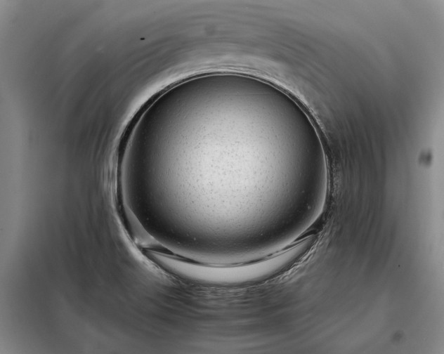 X0000098221515200805011222