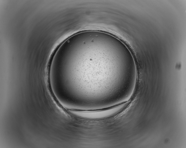 X0000098221517200805011222