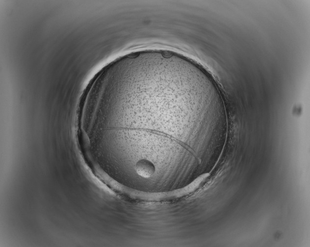 X0000098221518200805011222