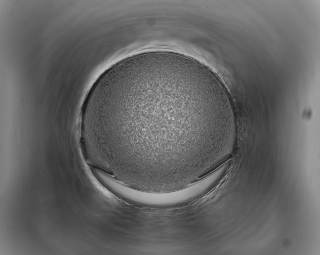 X0000098221519200805011222