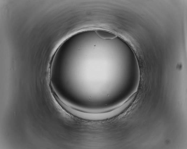 X0000098221524200805011222