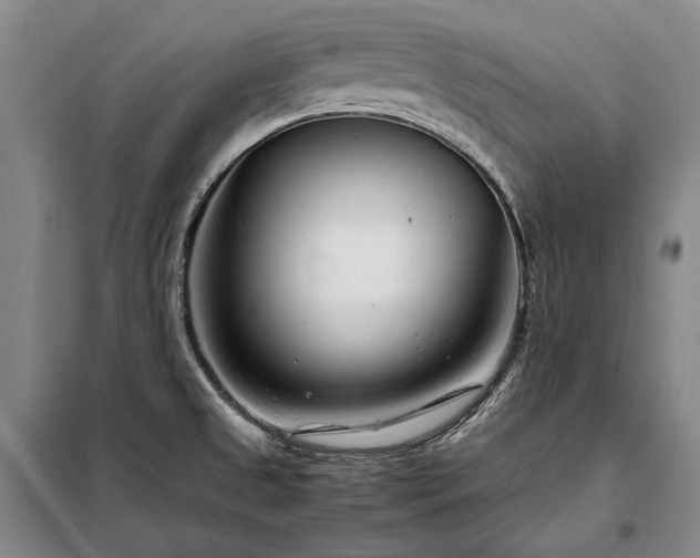 X0000098221525200805011222
