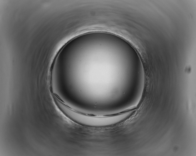 X0000098221527200805011222