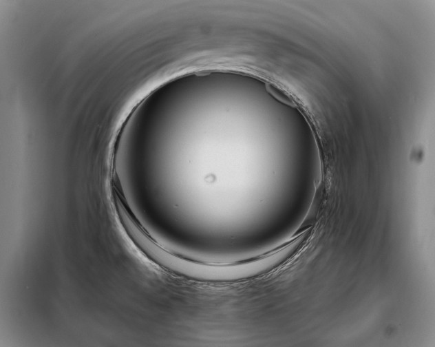 X0000098221528200805011222
