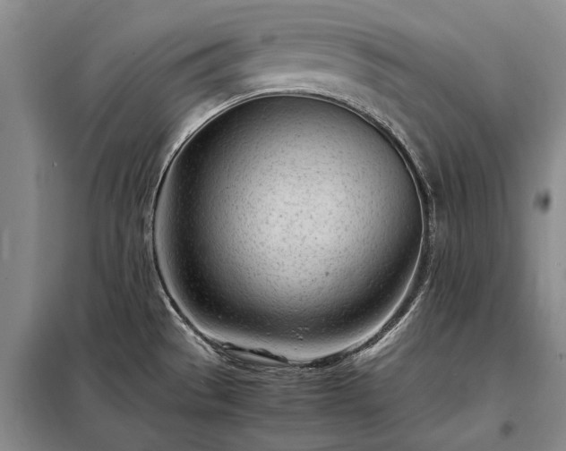 X0000098221529200805011222