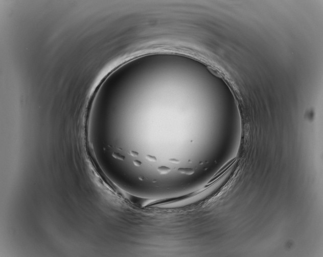 X0000098221530200805011222