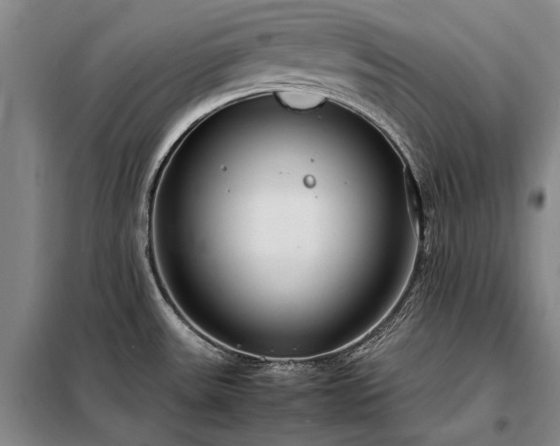 X0000098221531200805011222