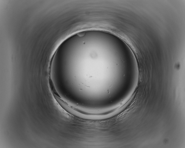 X0000098221532200805011222