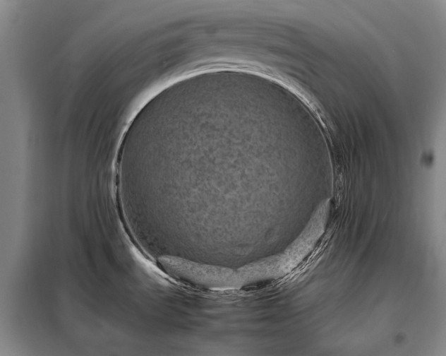 X0000098221535200805011222